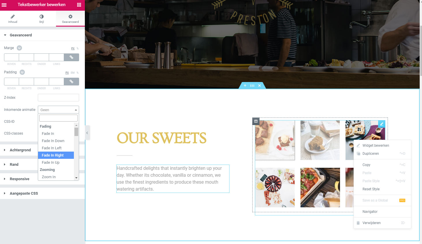 Elementor user interface
